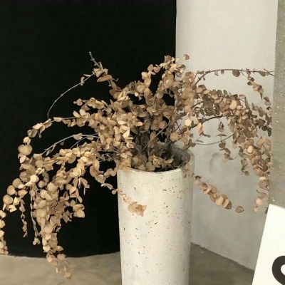 Furry创作脑洞合集Furry群